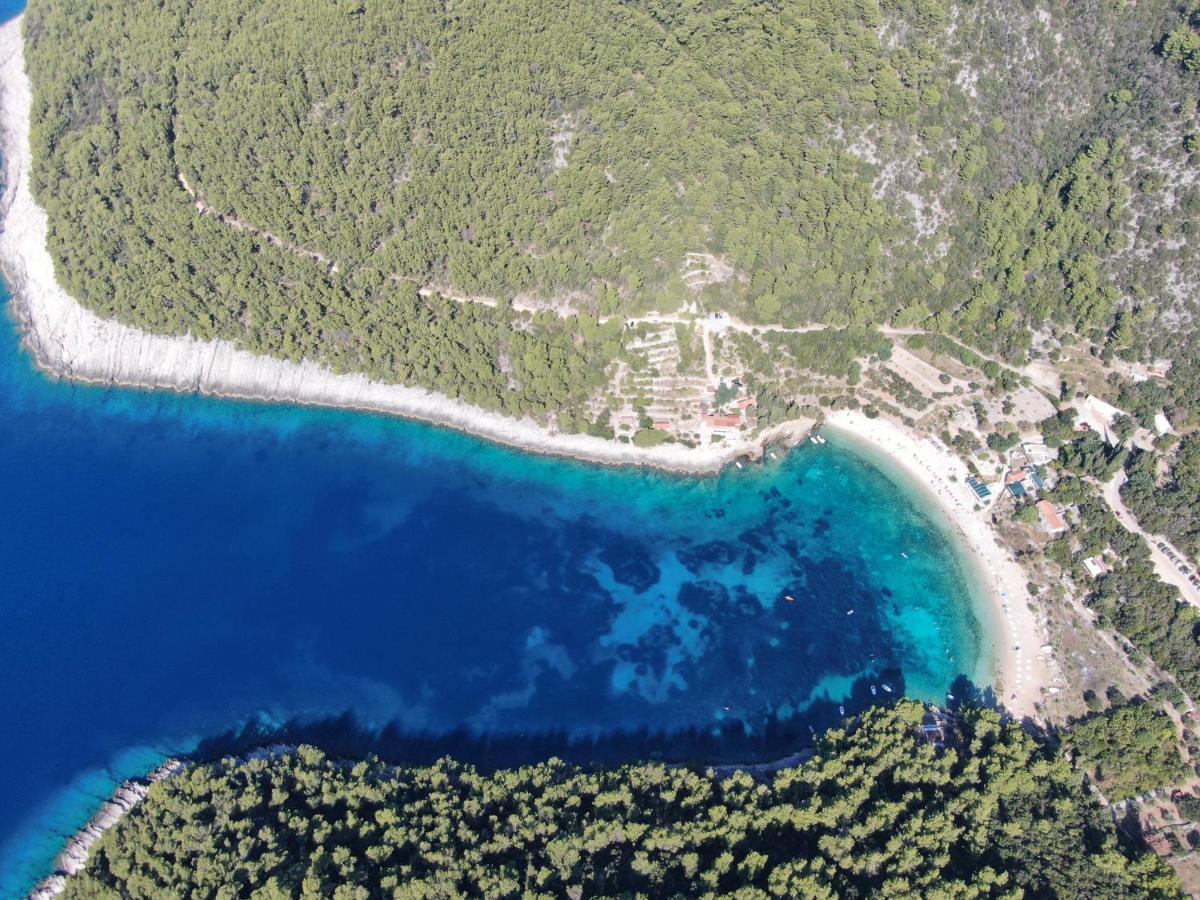 Korcula Holiday Zrnovo Ngoại thất bức ảnh